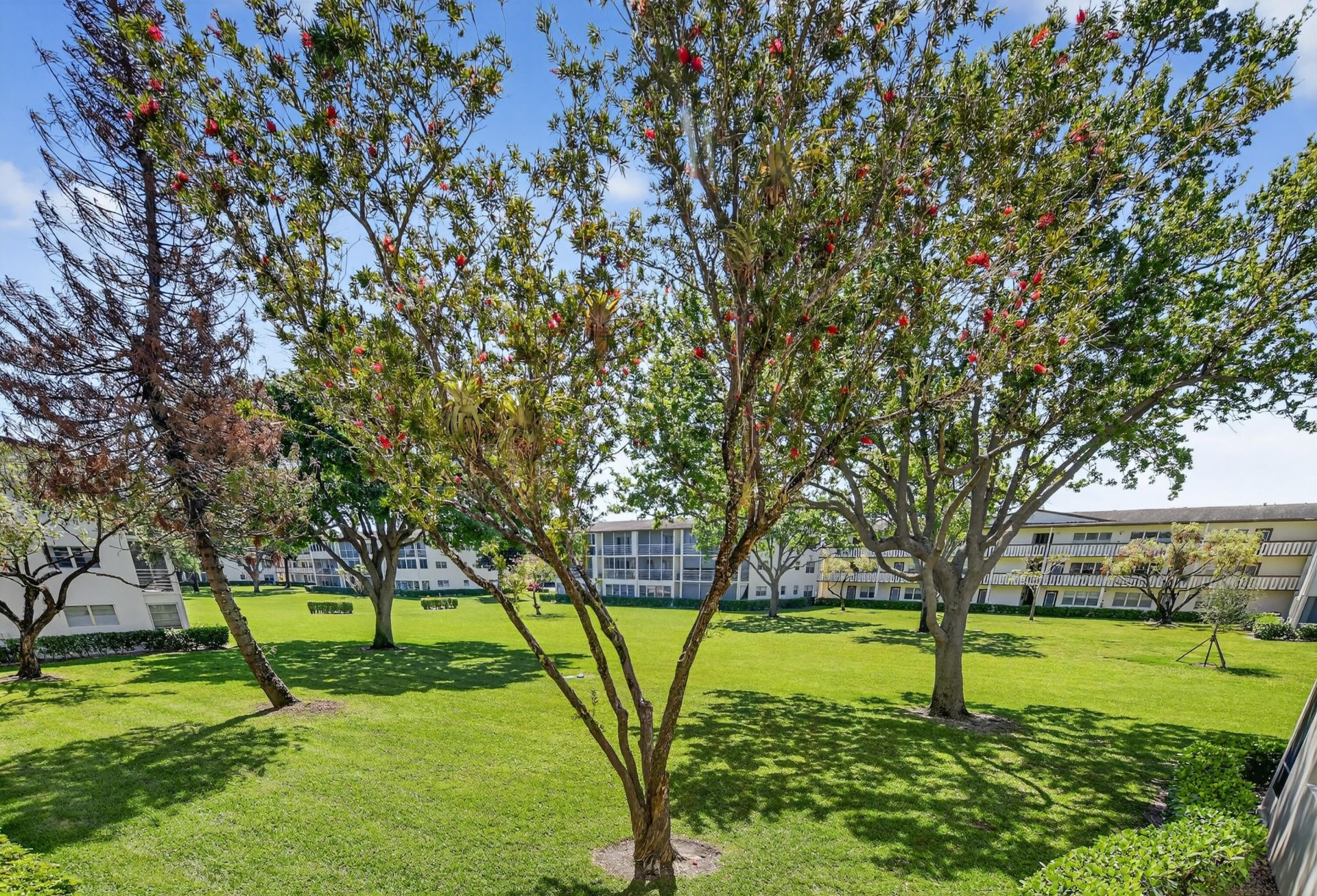 150 Mansfield D, Unit 150, Boca Raton, FL 33434 Photo