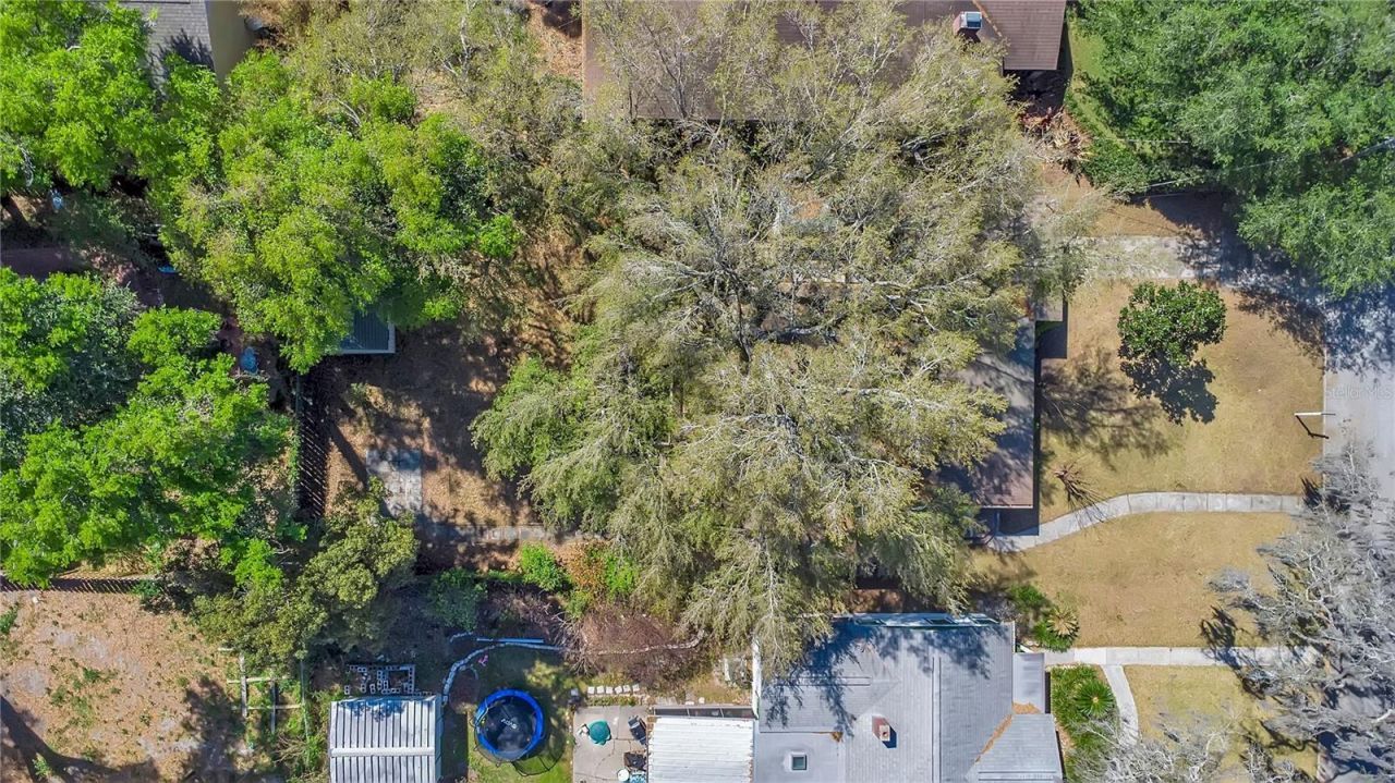 1610 E Jefferson Street , Orlando, FL 32803 Photo