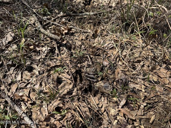 0 N Circle Road, Lexington, MS 39095