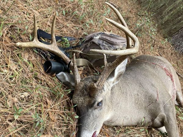 Conerly Drive, McComb, MS 39648