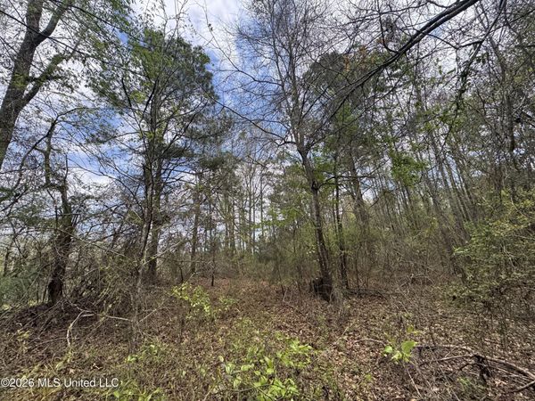 Stephens Road, Newton, MS 39345