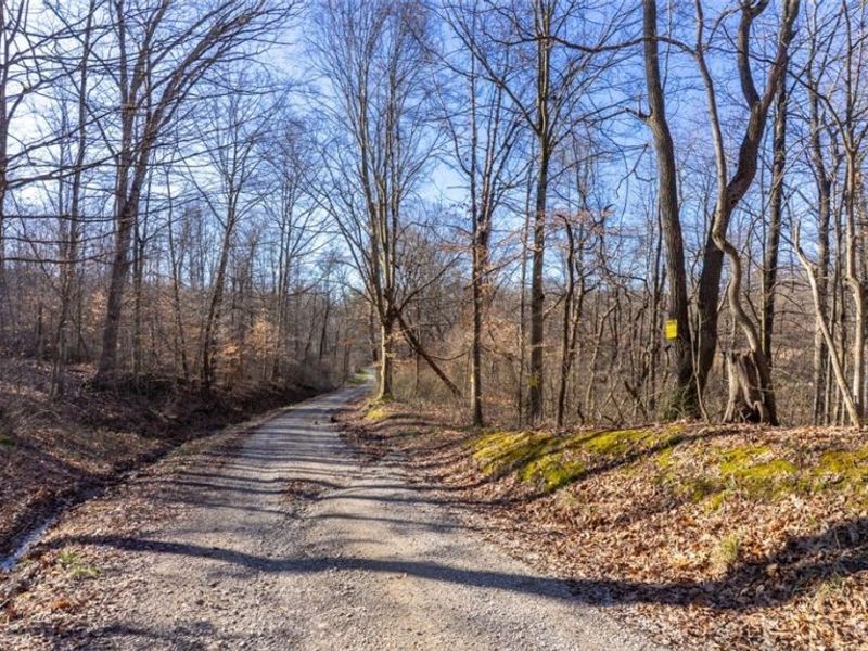 0 Clem Garvin Road, Caldwell, OH 43724 Photo 12