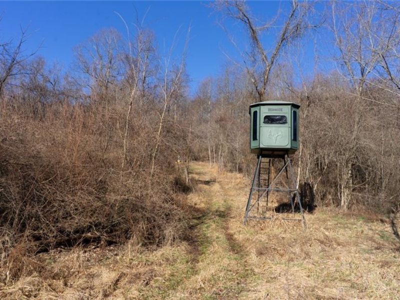 0 Clem Garvin Road, Caldwell, OH 43724 Photo 13