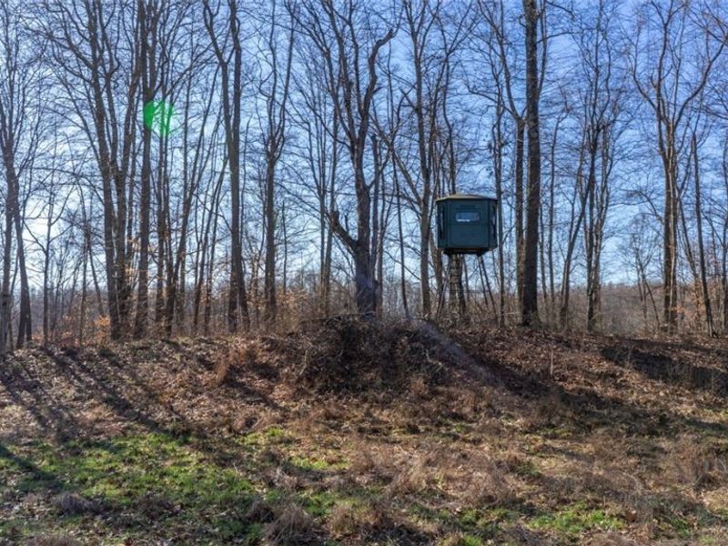 0 Clem Garvin Road, Caldwell, OH 43724 Photo 18