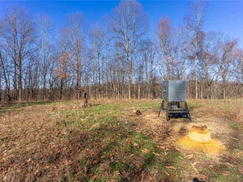 0 Clem Garvin Road, Caldwell, OH 43724 Photo 19