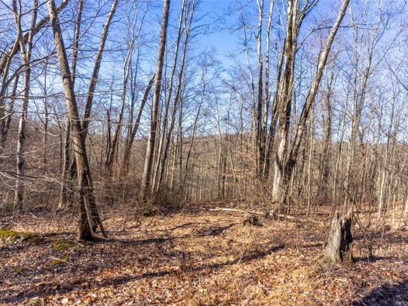 0 Clem Garvin Road, Caldwell, OH 43724 Photo 20