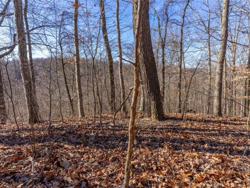 0 Clem Garvin Road, Caldwell, OH 43724 Photo 22