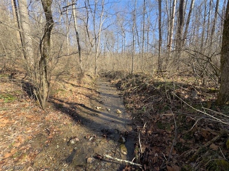 0 Clem Garvin Road, Caldwell, OH 43724 Photo 23