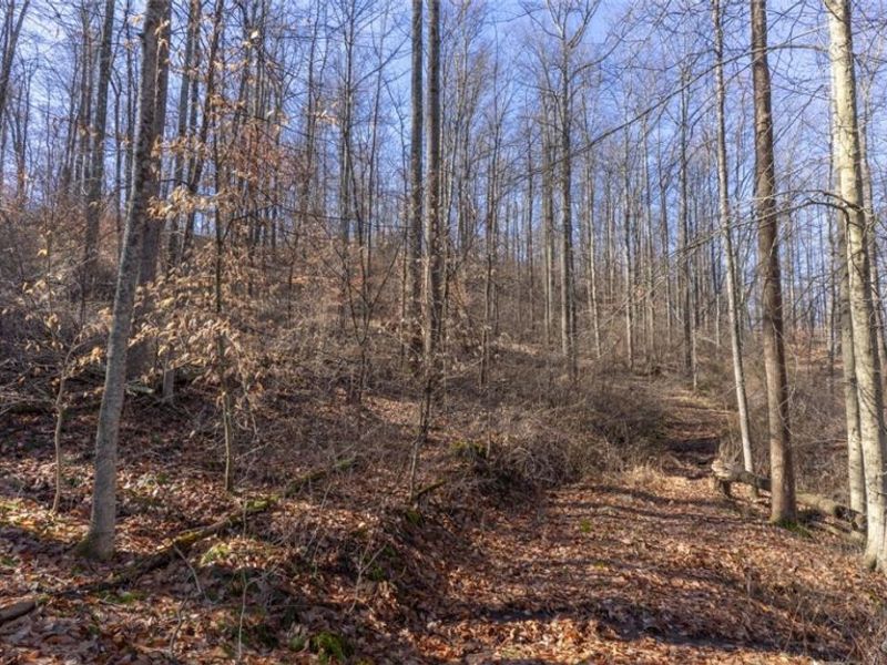 0 Clem Garvin Road, Caldwell, OH 43724 Photo 27