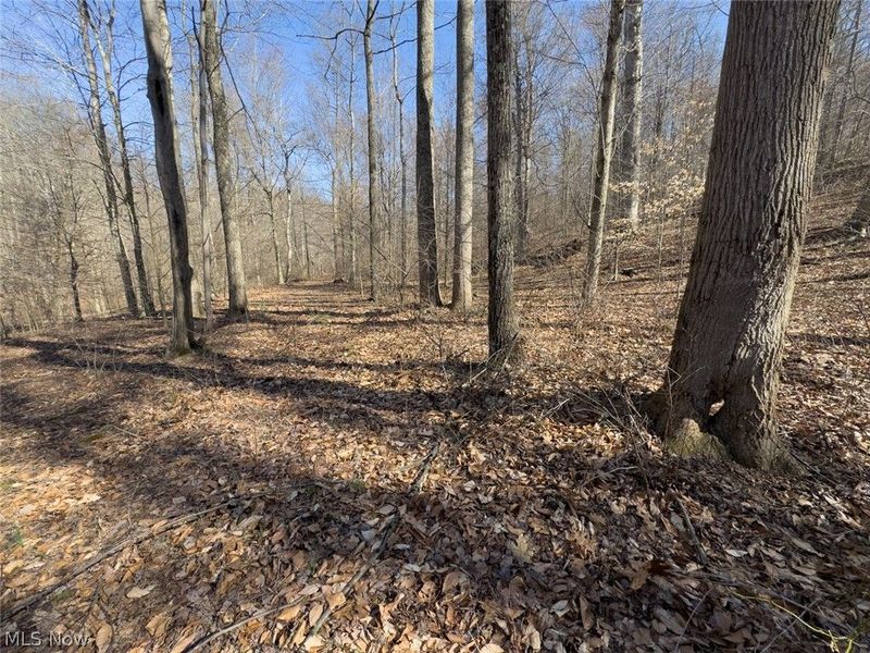 0 Clem Garvin Road, Caldwell, OH 43724 Photo 29