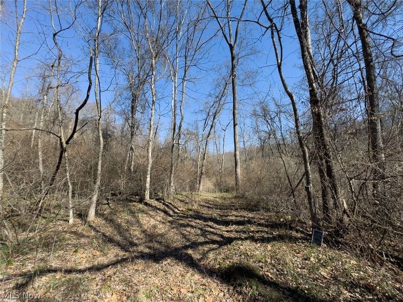 0 Clem Garvin Road, Caldwell, OH 43724 Photo 37