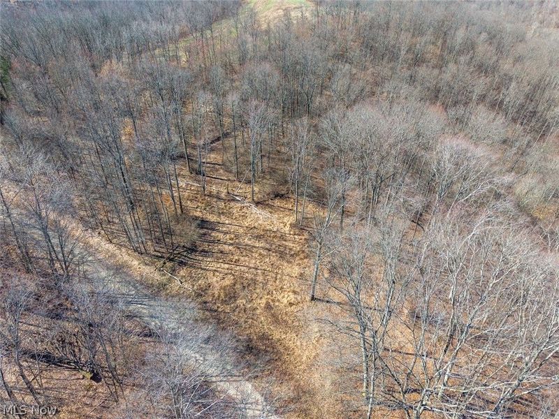 0 Clem Garvin Road, Caldwell, OH 43724 Photo 40