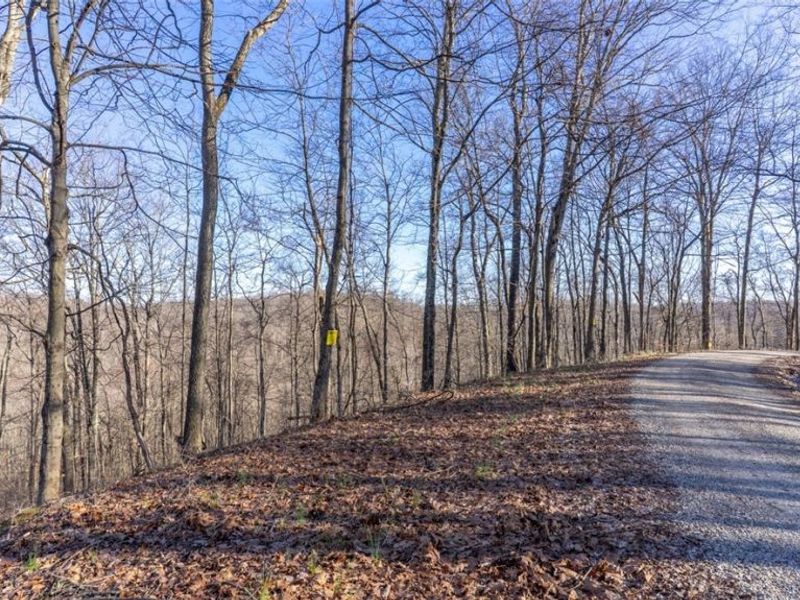 0 Clem Garvin Road, Caldwell, OH 43724 Photo 43