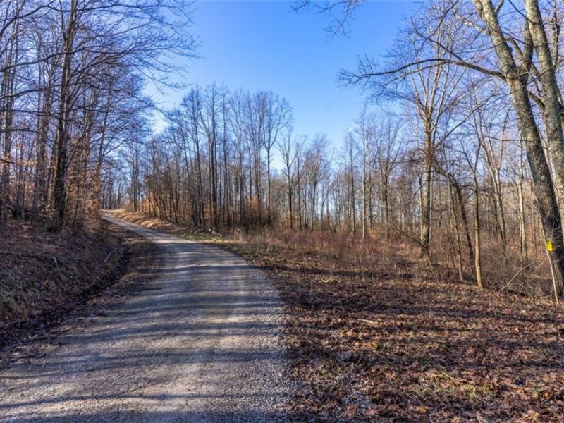 0 Clem Garvin Road, Caldwell, OH 43724 Photo 44