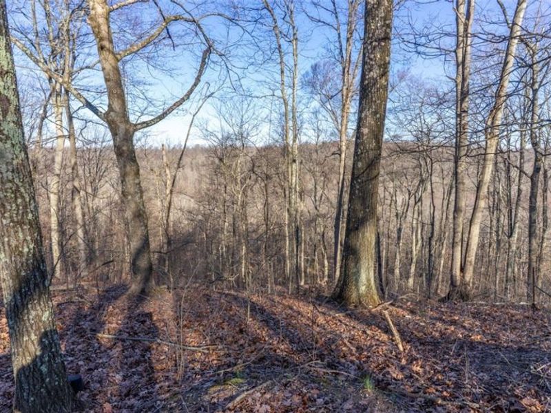 0 Clem Garvin Road, Caldwell, OH 43724 Photo 46