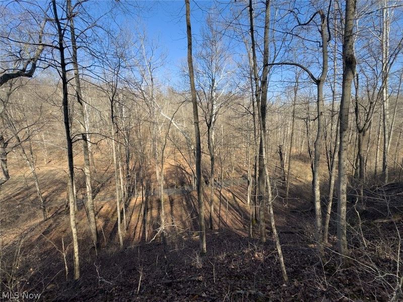 0 Clem Garvin Road, Caldwell, OH 43724 Photo 47