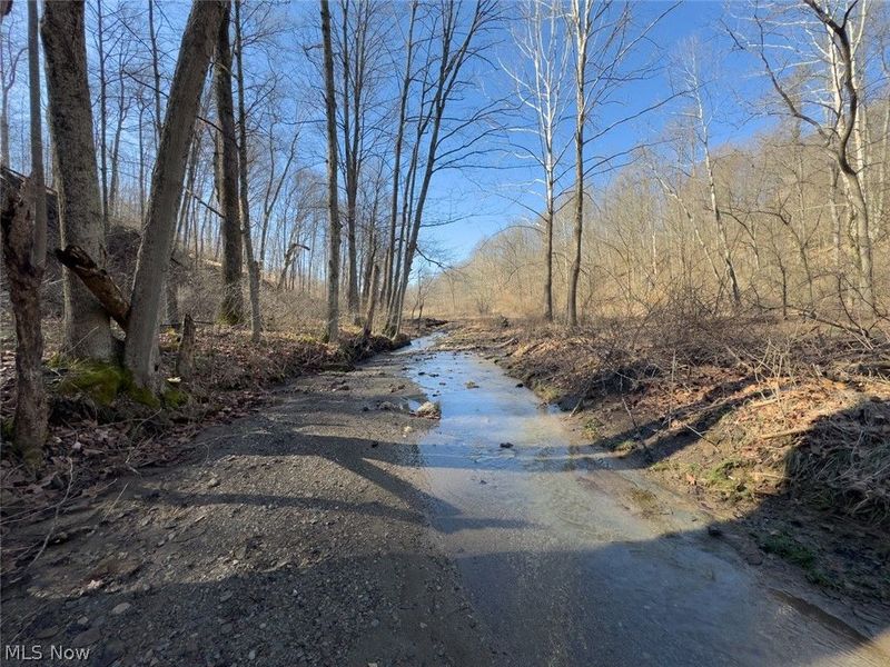 0 Clem Garvin Road, Caldwell, OH 43724 Photo 48