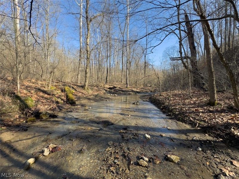 0 Clem Garvin Road, Caldwell, OH 43724 Photo 49