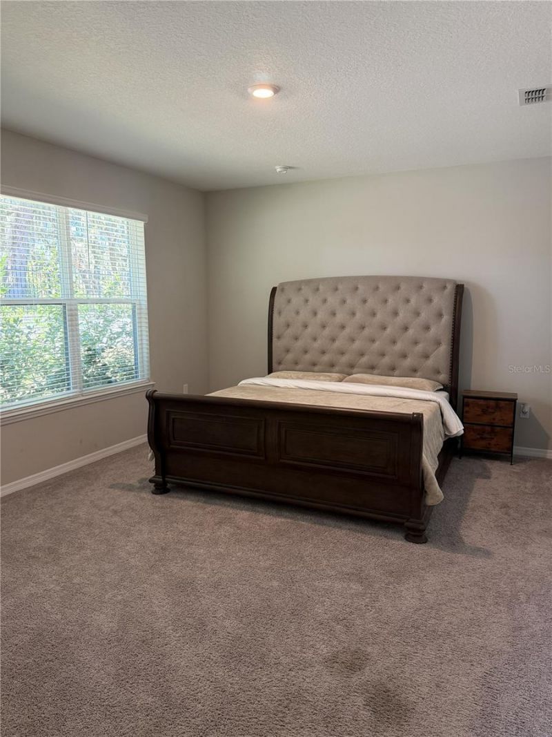 3818 Rose Mallow Drive , Kissimmee, FL 34746 Photo