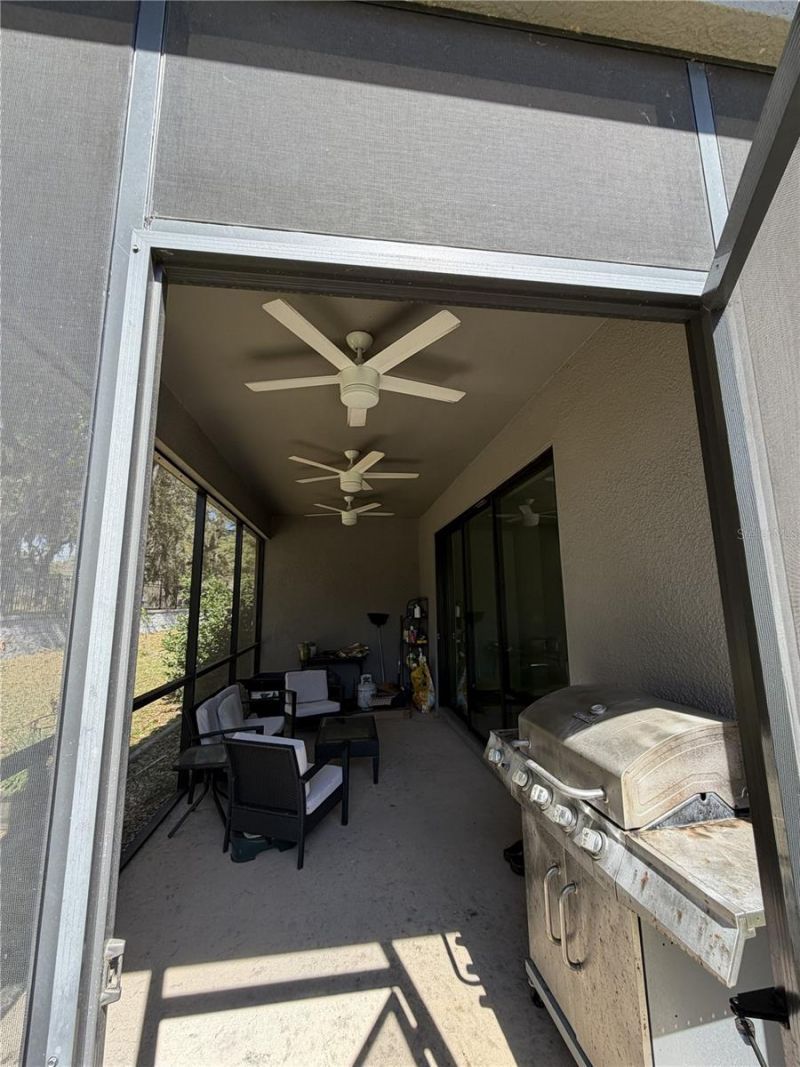 3818 Rose Mallow Drive , Kissimmee, FL 34746 Photo