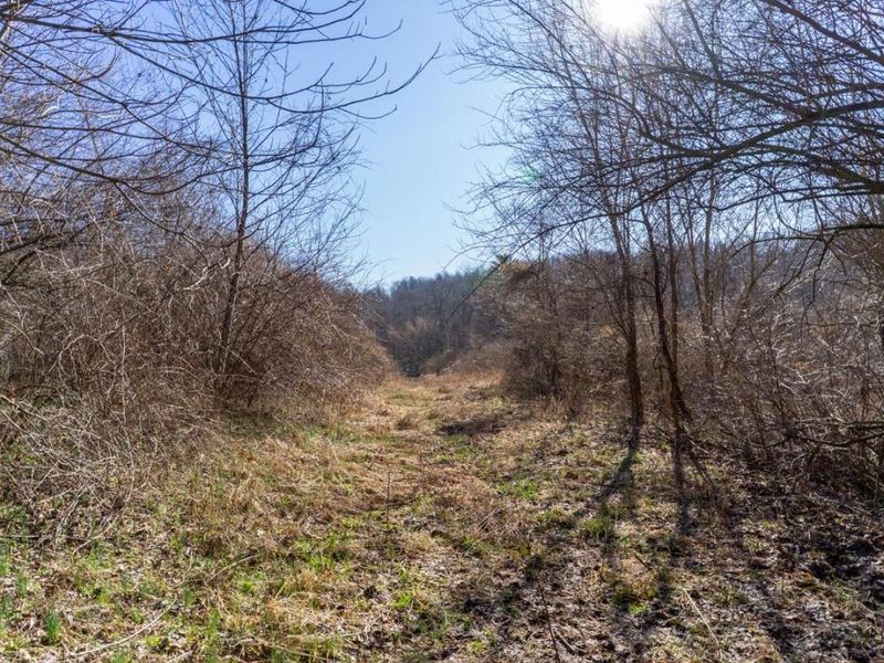 0 Clem Garvin Road, Caldwell, OH 43724 Photo 15