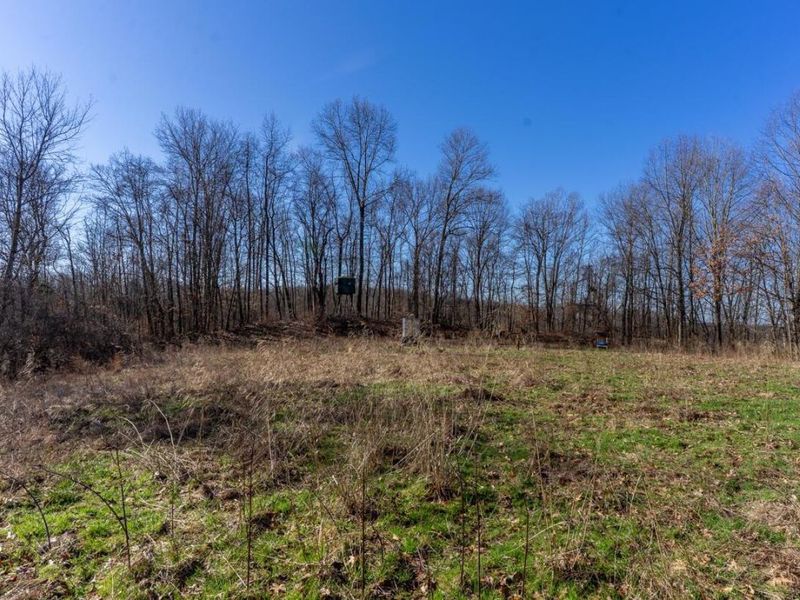 0 Clem Garvin Road, Caldwell, OH 43724 Photo 16