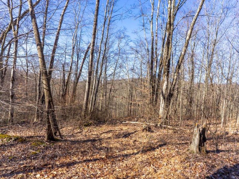 0 Clem Garvin Road, Caldwell, OH 43724 Photo 20