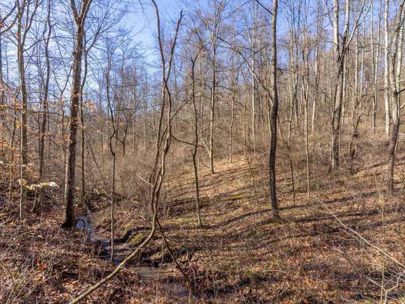 0 Clem Garvin Road, Caldwell, OH 43724 Photo 21