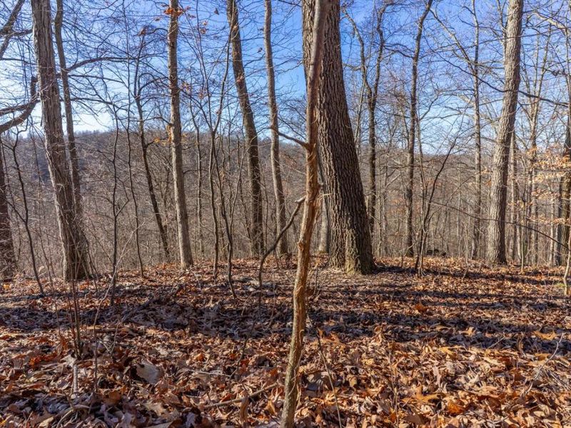 0 Clem Garvin Road, Caldwell, OH 43724 Photo 22