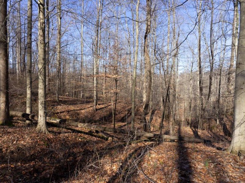 0 Clem Garvin Road, Caldwell, OH 43724 Photo 28