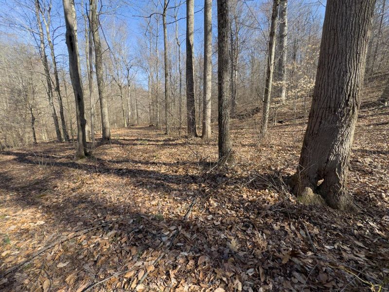 0 Clem Garvin Road, Caldwell, OH 43724 Photo 29