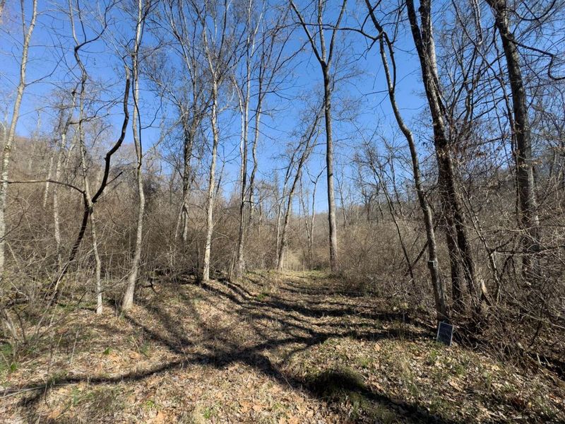 0 Clem Garvin Road, Caldwell, OH 43724 Photo 37