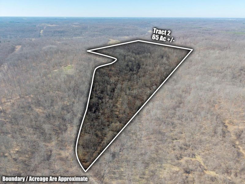 0 Clem Garvin Road, Caldwell, OH 43724 Photo 39