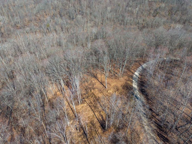 0 Clem Garvin Road, Caldwell, OH 43724 Photo 42