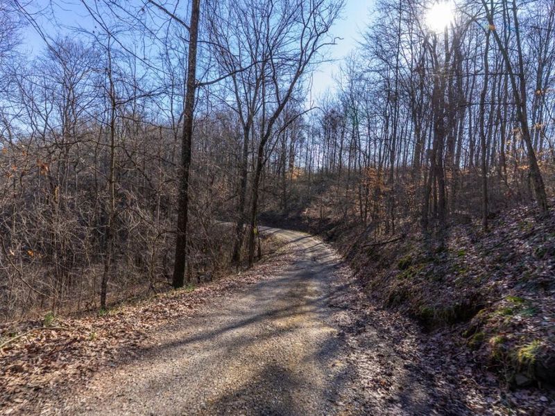 0 Clem Garvin Road, Caldwell, OH 43724 Photo 46