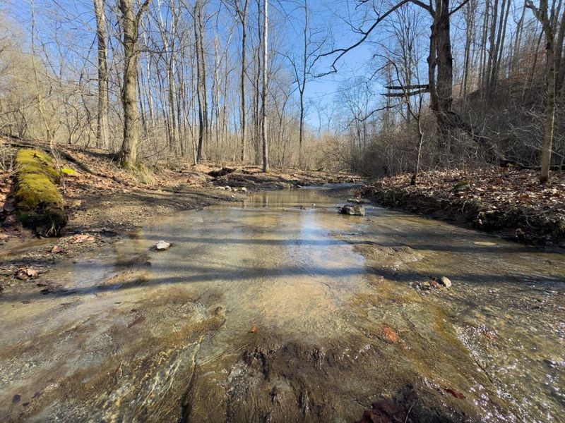 0 Clem Garvin Road, Caldwell, OH 43724 Photo 51