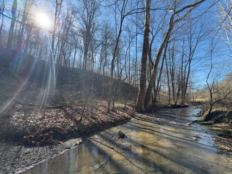 0 Clem Garvin Road, Caldwell, OH 43724 Photo 52