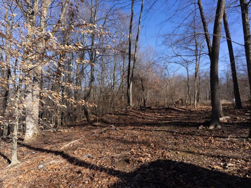 0 Clem Garvin Road, Caldwell, OH 43724 Photo 53