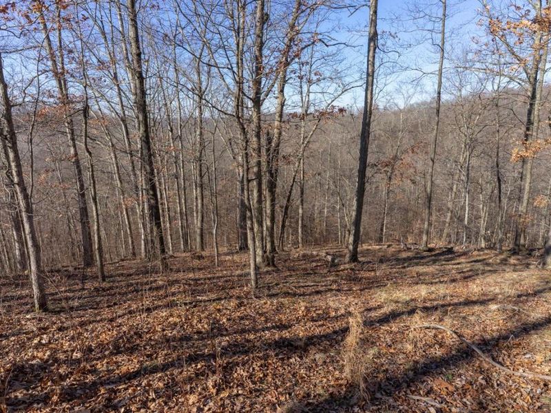 0 Clem Garvin Road, Caldwell, OH 43724 Photo 54