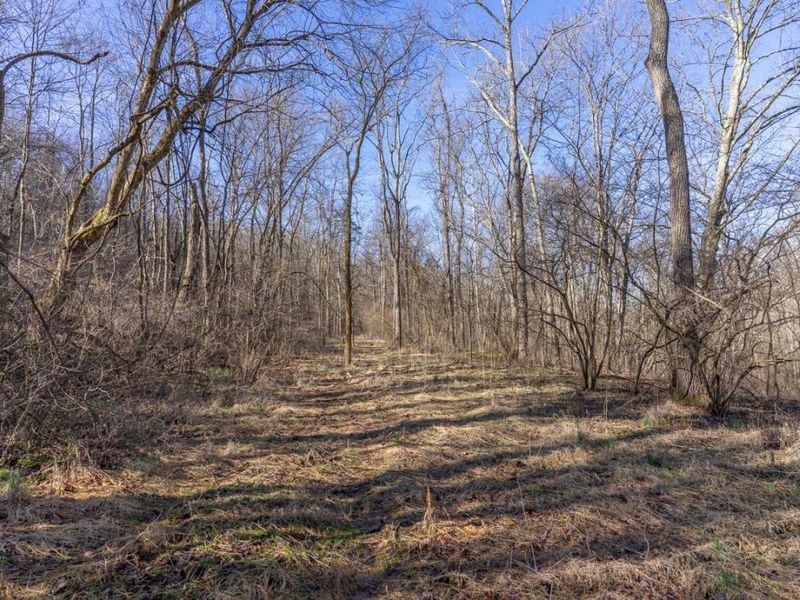 0 Clem Garvin Road, Caldwell, OH 43724 Photo 56