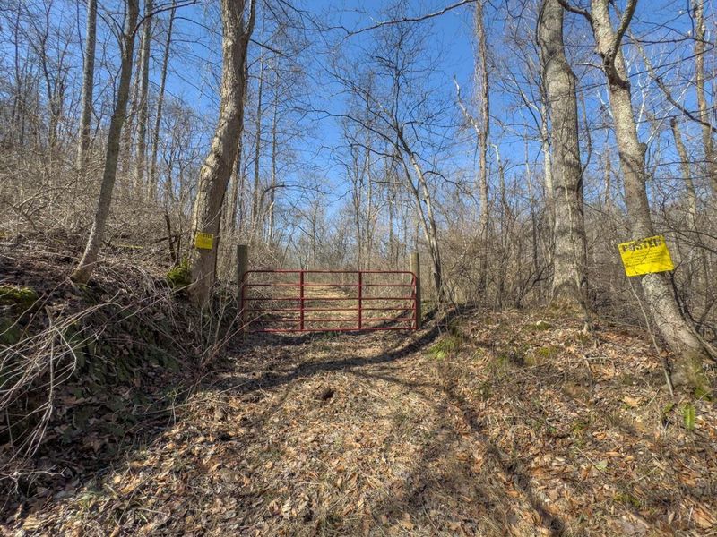 0 Clem Garvin Road, Caldwell, OH 43724 Photo 59