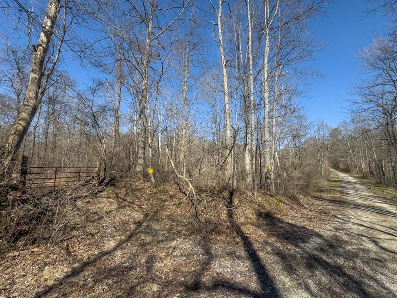 0 Clem Garvin Road, Caldwell, OH 43724 Photo 60