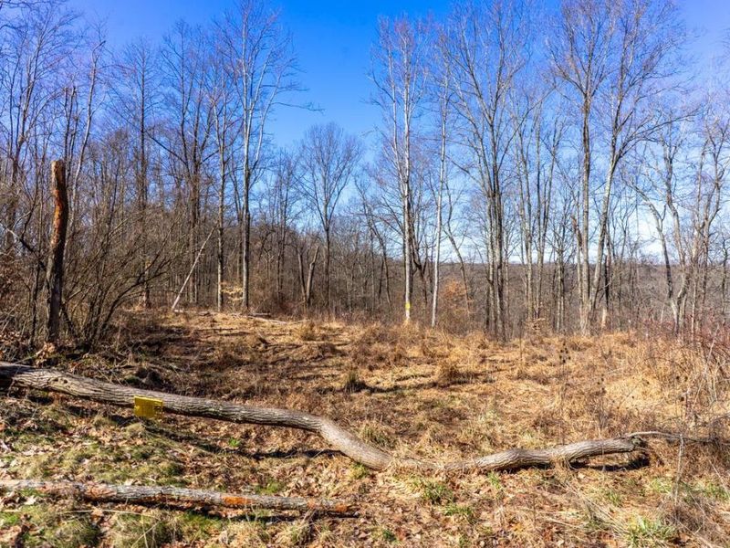 0 Clem Garvin Road, Caldwell, OH 43724 Photo 61