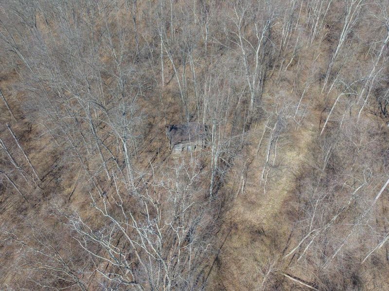 0 Clem Garvin Road, Caldwell, OH 43724 Photo 8