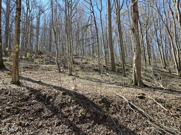 0 Shuler Hollow Road, Chilhowie, VA 24319