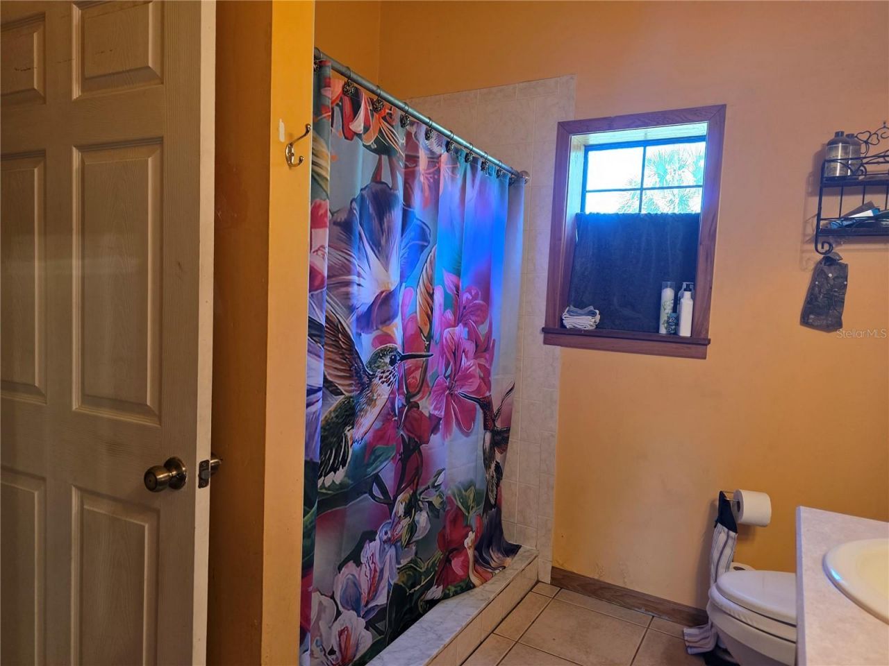 54523 Astor Transfer Station Road, Astor, FL 32102 Photo