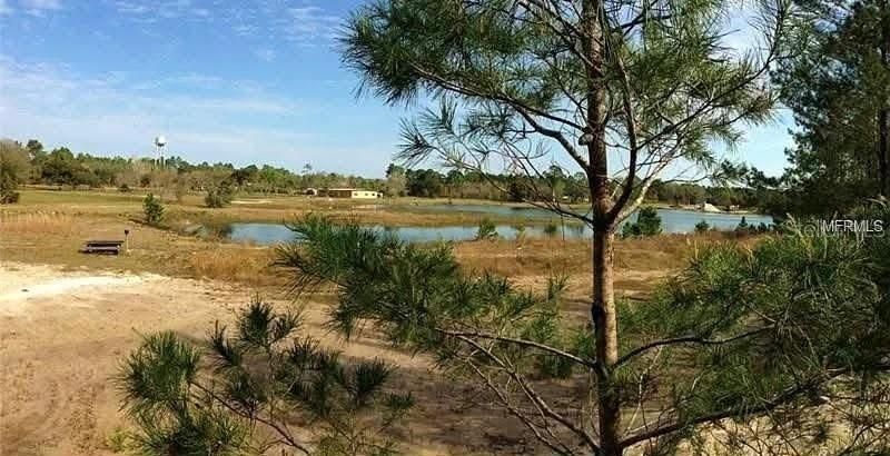 54523 Astor Transfer Station Road, Astor, FL 32102 Photo