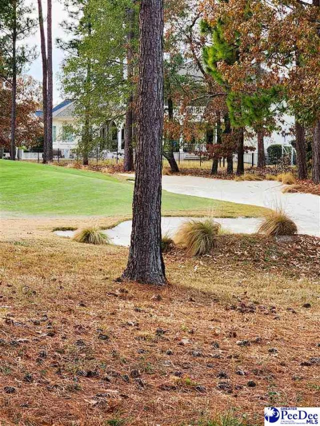 309 Dormie Lane Photo 31