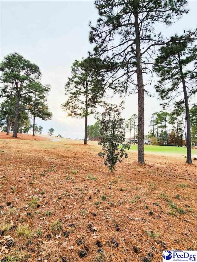 309 Dormie Lane Photo 32