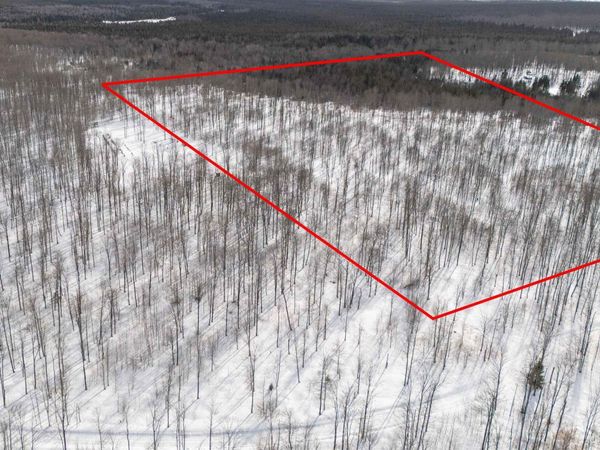 Camp 23 Road, Mueller Twp, MI 49836